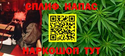 PSILOCYBIN Заводоуковск