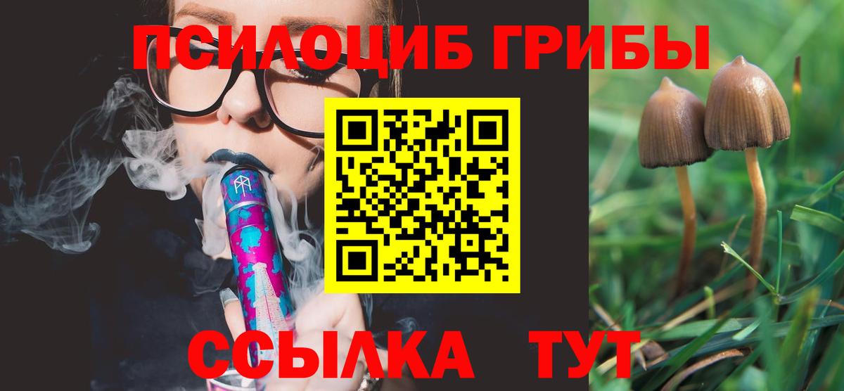 Псилоцибиновые грибы Cubensis  Вход с VPN  Муравленко 
